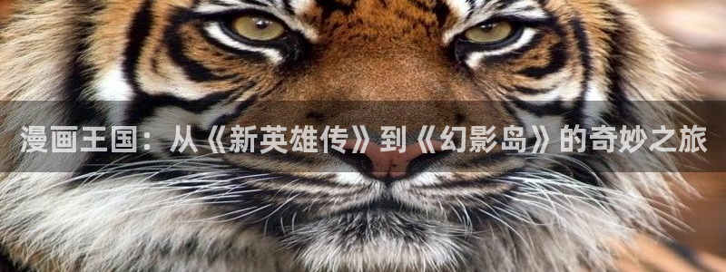 漫漫漫画官网免费阅读