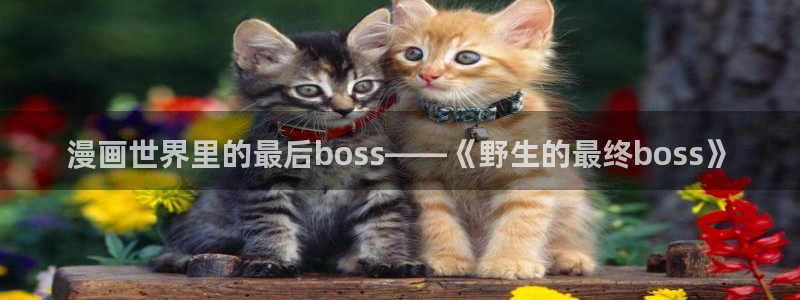 漫漫漫画免费漫