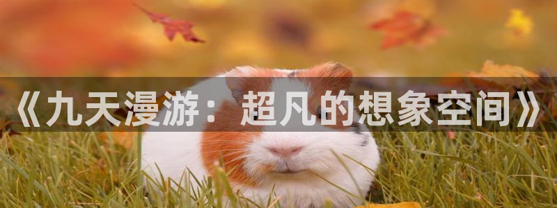 漫漫漫画在线观看免费版完整下载